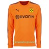 Billiga Fotbollströjor Borussia Dortmund Målvakt Borta tröja 2017/18 Långärmad