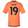 Billiga Fotbollströjor Liverpool 3rd Mané tröja 2017/18 Kortärmad