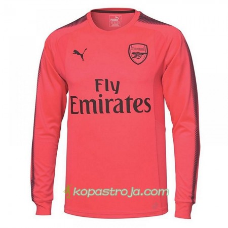 Billiga Fotbollströjor Arsenal Målvakt Borta tröja 2017/18 Långärmad