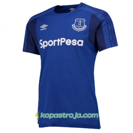 Billiga Fotbollströjor Everton Hemma tröja 2017/18 Kortärmad
